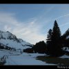 20070305_012